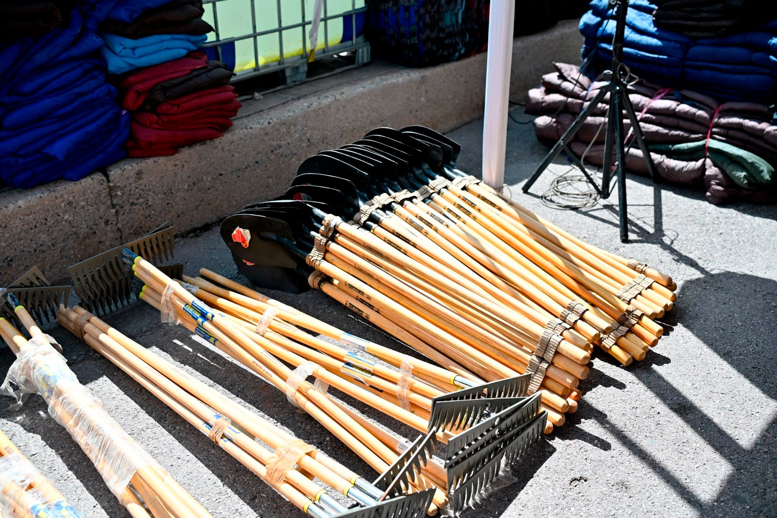 IMG-20260806-WA0360