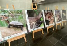 FORTALECEN EDUCACIÓN AMBIENTAL EN DOCENTES DE CIUDAD VALLES CON EL FORO “TRANSFORMANDO AULAS, IMPACTANDO AL PLANETA”